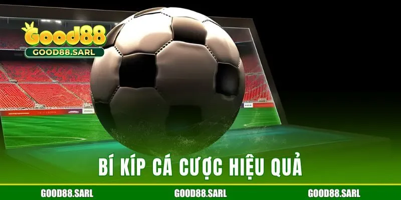 Bí kíp cá cược hiệu quả