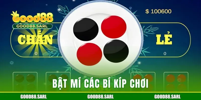 Bật mí các bí kíp chơi